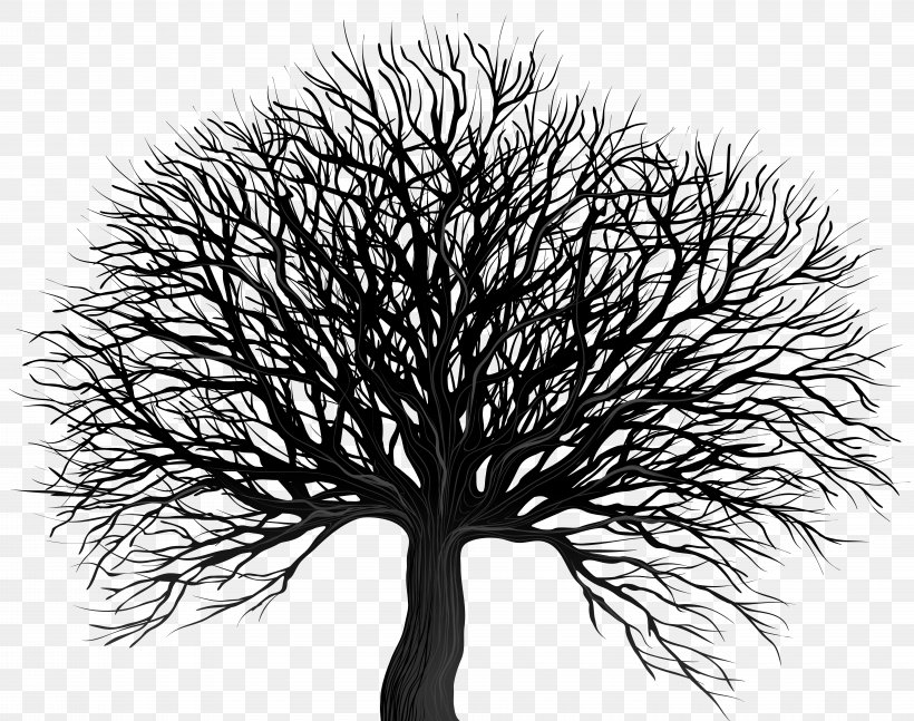 Vector Graphics Clip Art Tree Stock Photography, PNG, 8000x6320px, Tree, Black And White, Branch, Drawing, Fotosearch Download Free