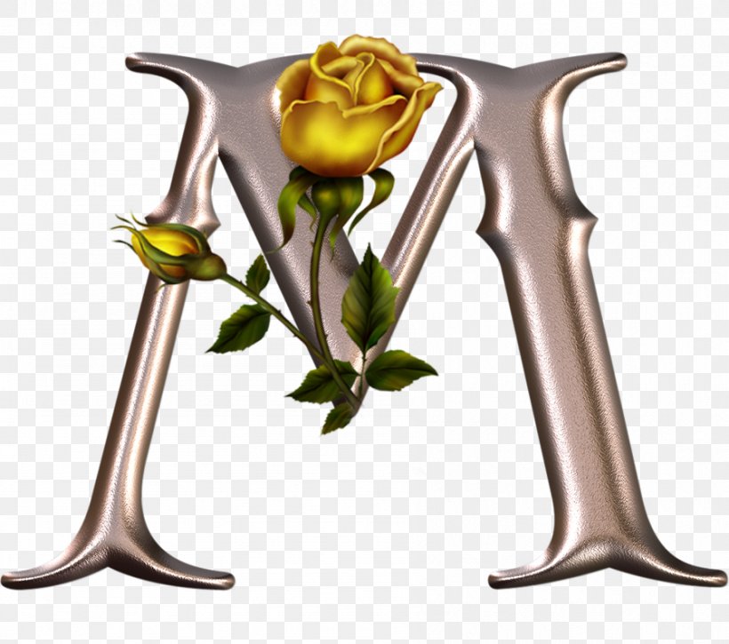 Alphabet Letter M V W, PNG, 896x793px, Alphabet, English Alphabet, Flower, Gothic Alphabet, Initial Download Free