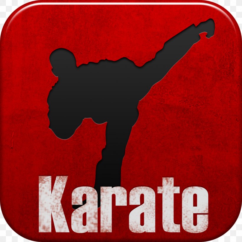 Netflix Martial Arts Film Television Show The Karate Kid, PNG, 1024x1024px, Netflix, Brand, Film, Jaden Smith, John Cusack Download Free