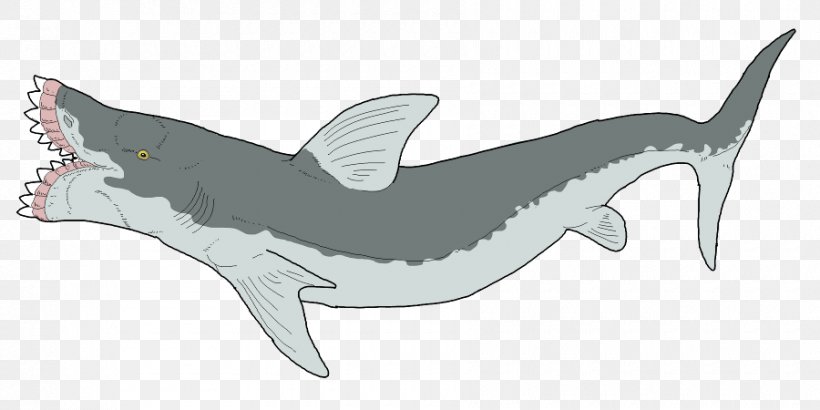 Requiem Sharks Edestus Helicoprion Cartilaginous Fishes, PNG, 900x450px, Shark, Animal, Animal Figure, Artwork, Cartilaginous Fish Download Free