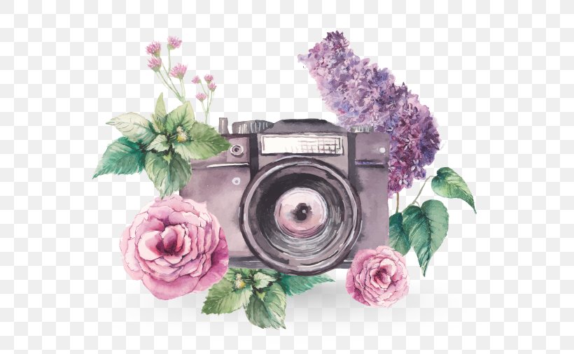 Watercolor Painting Photography, PNG, 674x506px, Watercolor Painting, Art, Camera, Cut Flowers, Drawing Download Free