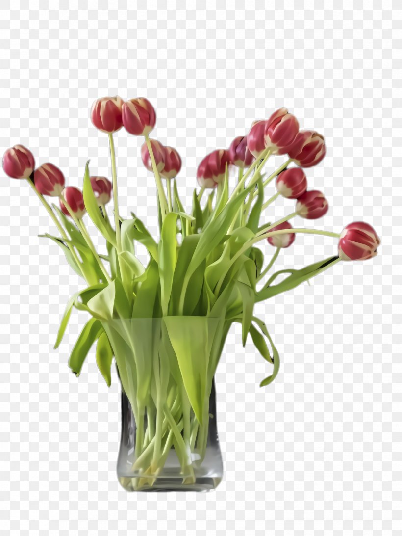 Flowers Background, PNG, 1732x2308px, Tulip, Blossom, Cut Flowers, Flora, Floral Design Download Free