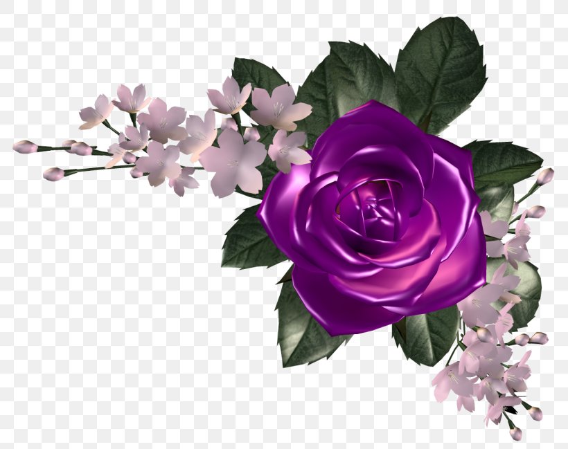 Garden Roses Centifolia Roses Cut Flowers Floribunda, PNG, 800x649px, Garden Roses, Artificial Flower, Centifolia Roses, Cut Flowers, Email Download Free
