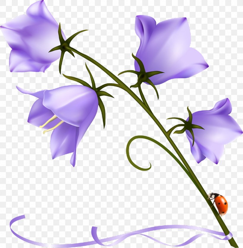 Harebell Clip Art Bellflower Family Desktop Wallpaper, PNG, 1024x1044px, Harebell, Balloon Flower, Bellflower, Bellflower Family, Bellflowers Download Free