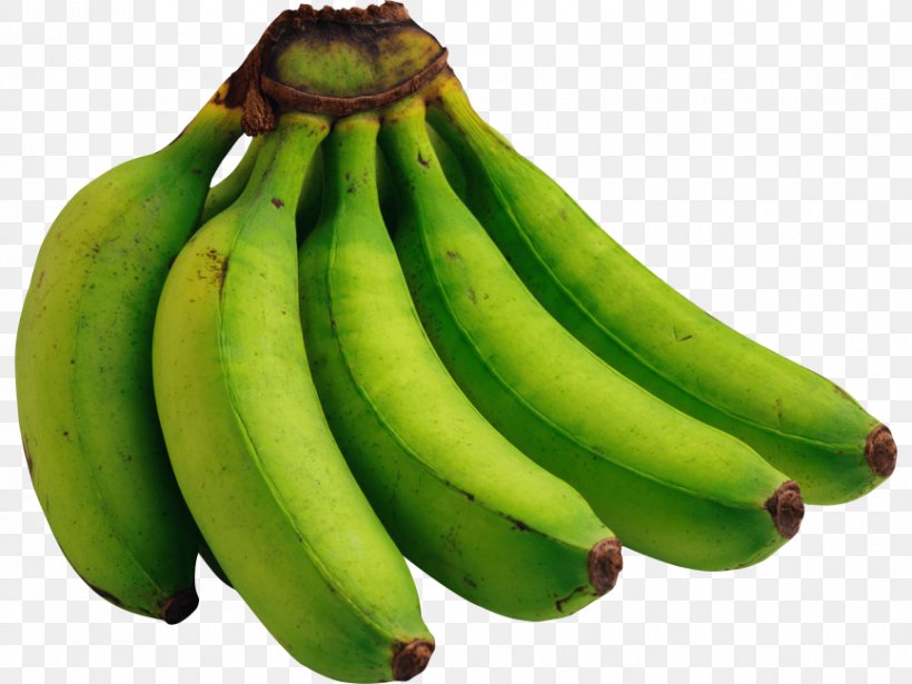 Banana Peel, PNG, 866x650px, Banana, Agriculture, Banana Family, Banana Peel, Cooking Banana Download Free