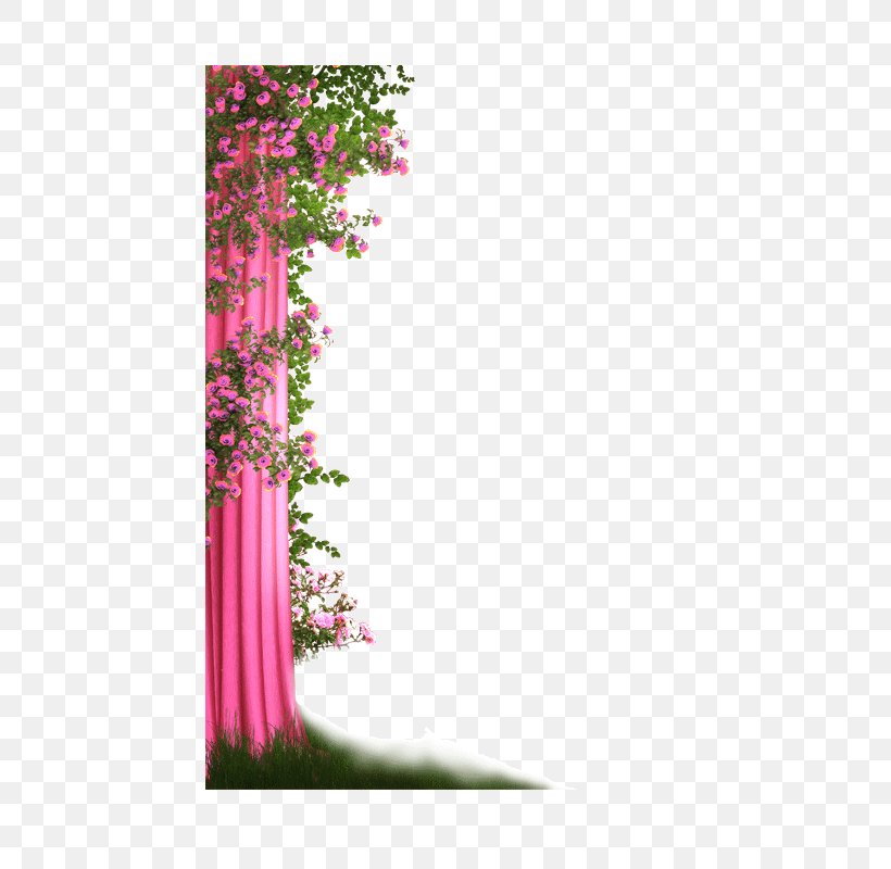 Curtain Computer File, PNG, 800x800px, Curtain, Color, Flower, Gratis, Magenta Download Free