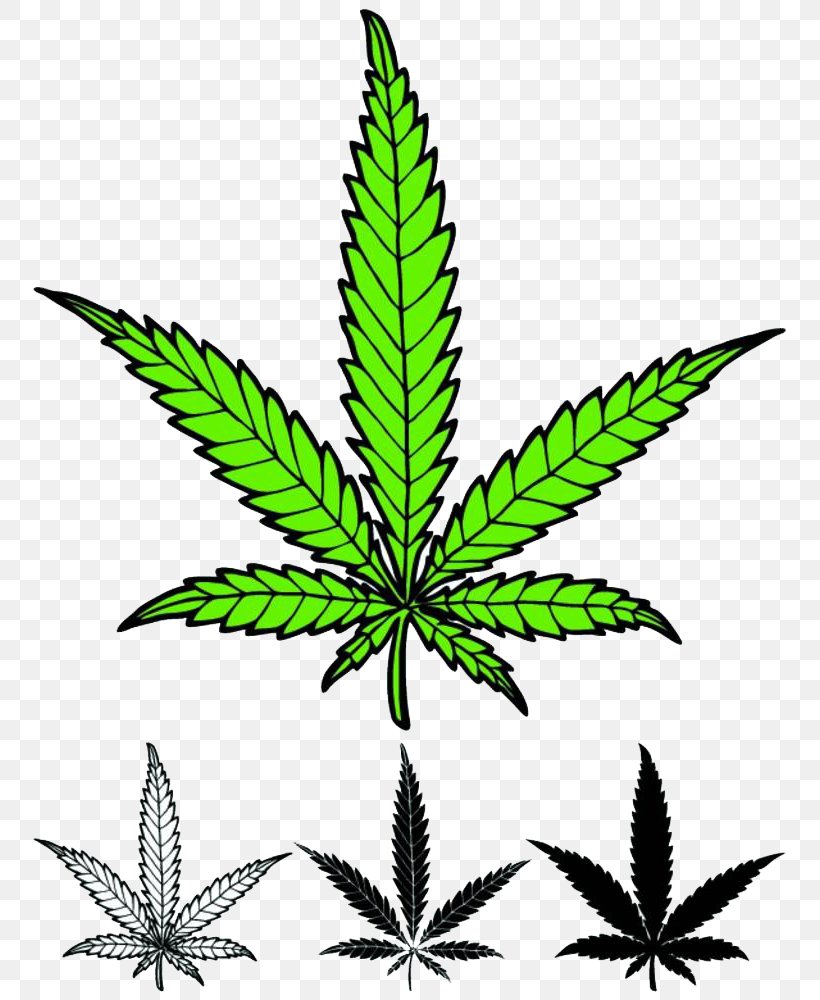 Leaves On Weeds, PNG, 764x1000px, Cannabis Sativa, Black And White, Botanical Illustration, Cannabis, Cannabis Industry Download Free