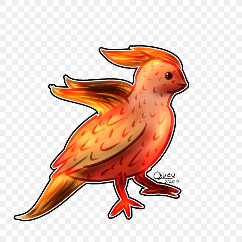 Macaw Parrot Clip Art Illustration Beak, PNG, 1024x1024px, Macaw, Art, Beak, Bird, Chicken Download Free