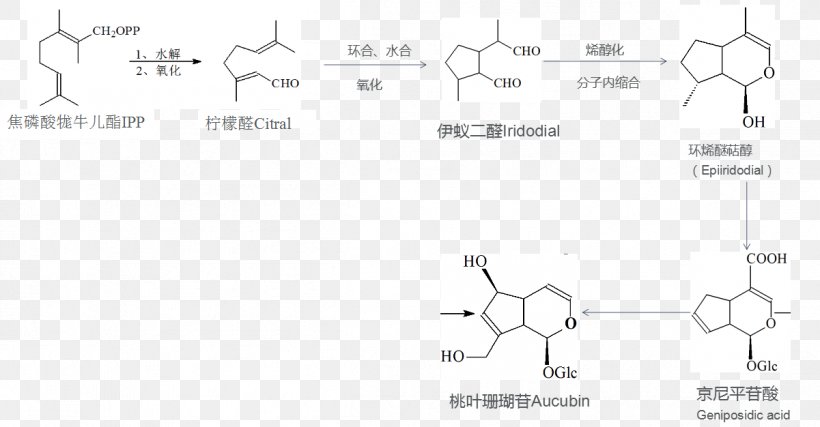 Terpene Iridoid Glycoside Biosynthesis Enol Ether, PNG, 1201x626px, Watercolor, Cartoon, Flower, Frame, Heart Download Free