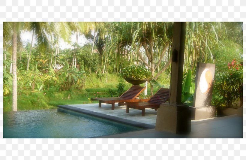 Swimming Pool Pond Sunlounger Backyard Resort, PNG, 800x533px, Swimming Pool, Backyard, Flora, Hacienda, Landscape Download Free