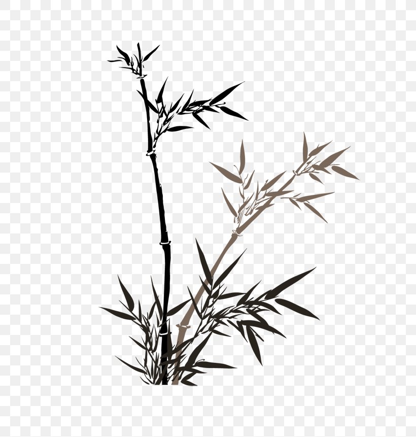 China Bamboo, PNG, 602x861px, China, Bamboo, Bamboo Painting, Black And White, Branch Download Free