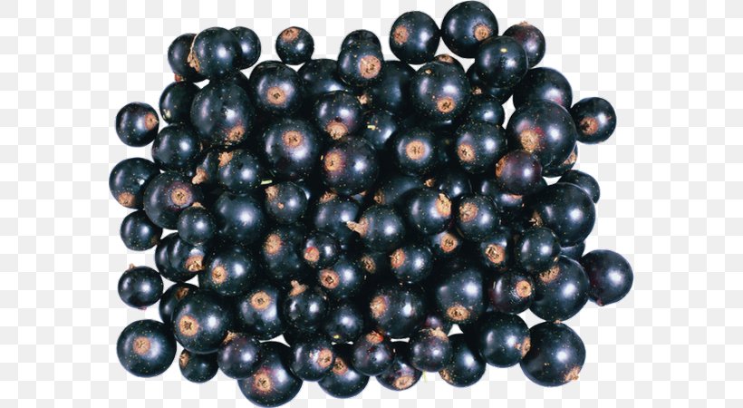 Huckleberry Zante Currant Bilberry Blueberry Juniper Berry, PNG, 580x450px, Huckleberry, Aronia, Bead, Berry, Bilberry Download Free
