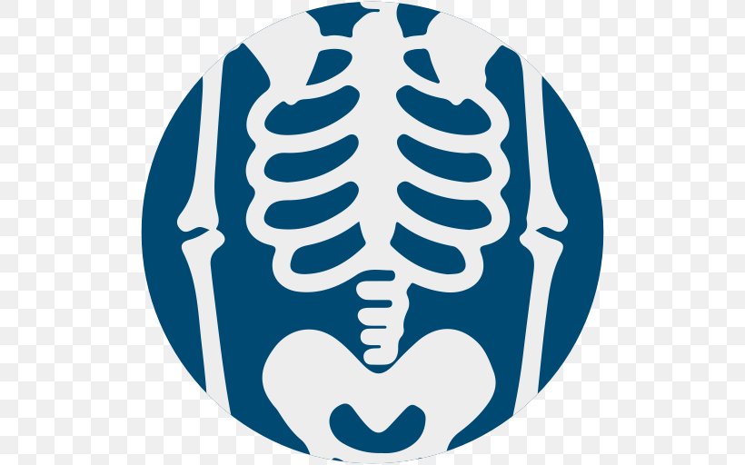 Human Skeleton Rib Cage Anatomy, PNG, 512x512px, Human Skeleton, Anatomy, Axial Skeleton, Bone, Costal Cartilage Download Free