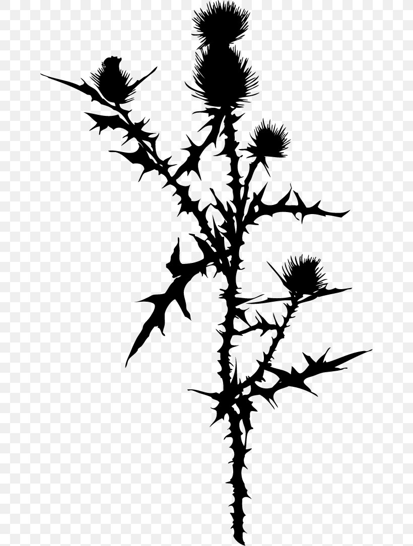 Plant Flower, PNG, 660x1084px, Plant, Art, Black And White, Branch, Drawing Download Free