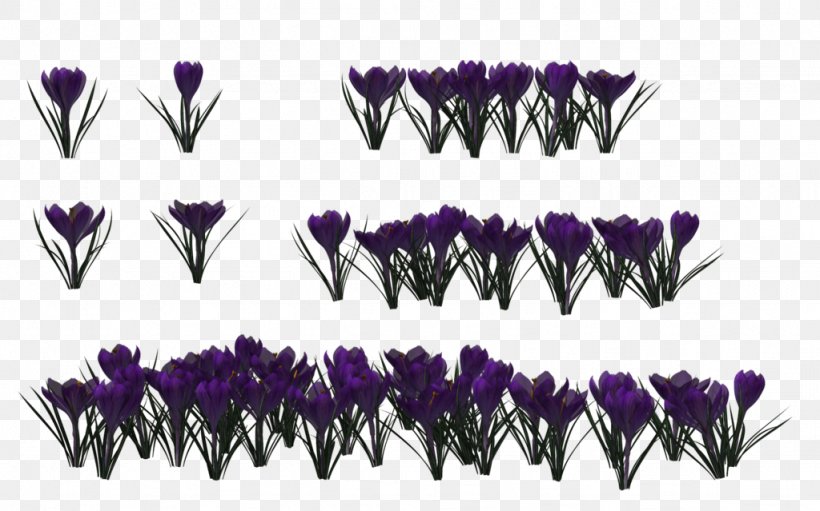 Poser Rendering Poecilotheria Regalis, PNG, 1024x639px, Poser, Crocus, Daylily, Deviantart, Flower Download Free