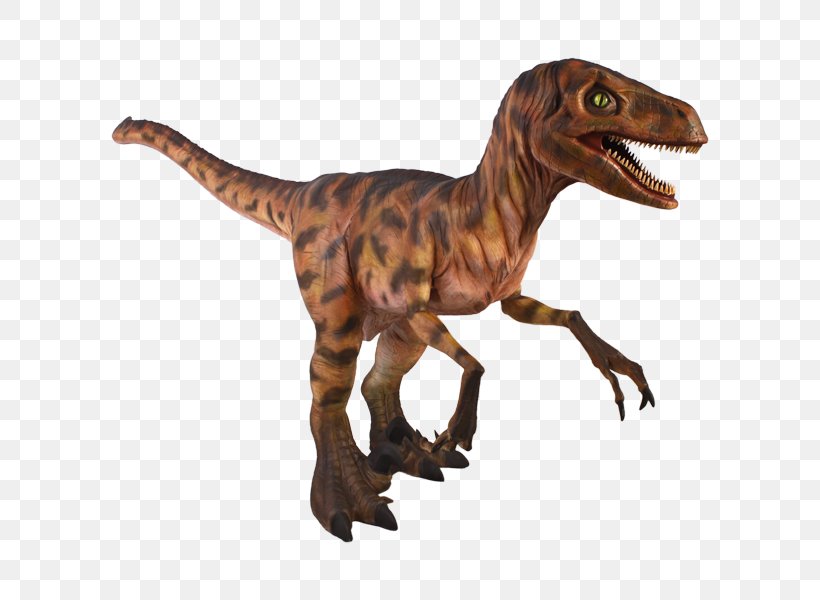 Velociraptor Allosaurus Dinosaur Animal Tyrannosaurus Rex, PNG, 600x600px, Watercolor, Cartoon, Flower, Frame, Heart Download Free