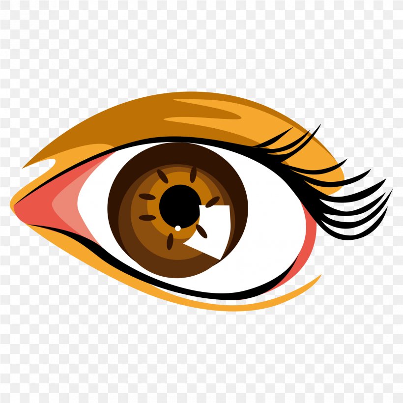 Eye Clip Art, PNG, 1835x1835px, Eye, Cartoon, Color, Eyelash, Orange Download Free