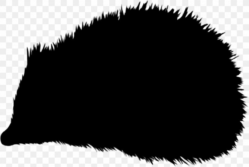 Hedgehog Silhouette Clip Art Image Photograph, PNG, 1319x887px, Hedgehog, Art, Black, Fur, Silhouette Download Free