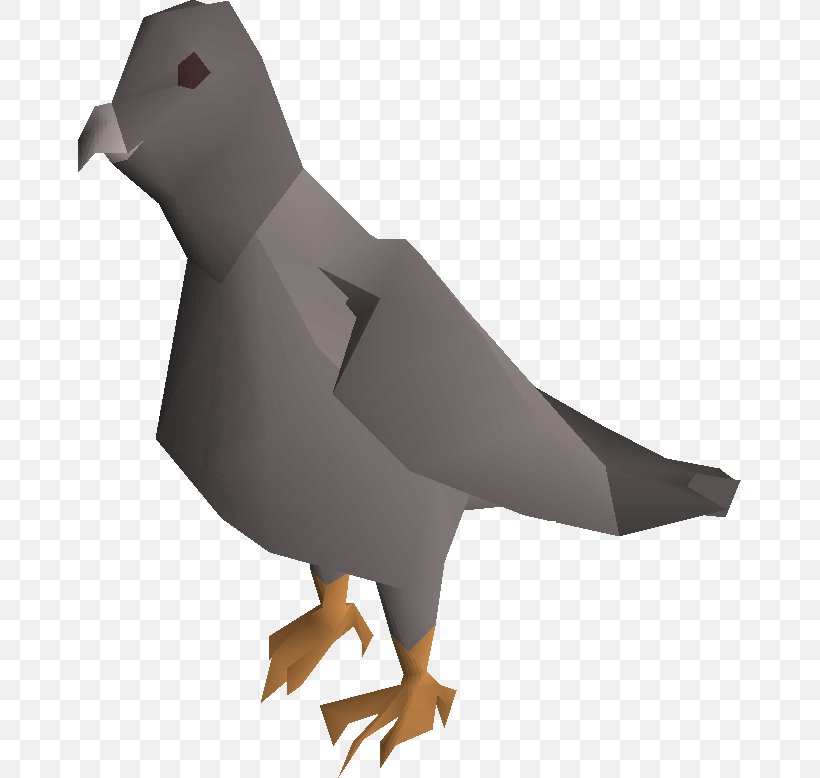 Pigeons And Doves Domestic Pigeon Bird Image, PNG, 663x778px, Pigeons And Doves, Art, Beak, Bird, Columbiformes Download Free