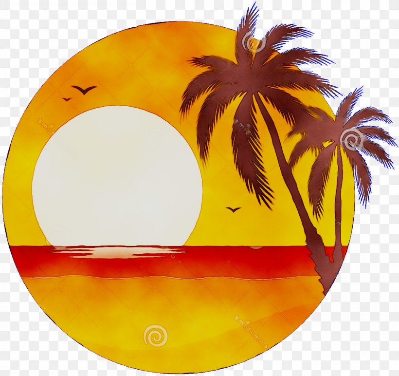 Yellow Orange S.A., PNG, 1510x1423px, Yellow, Arecales, Orange, Orange Sa, Palm Tree Download Free