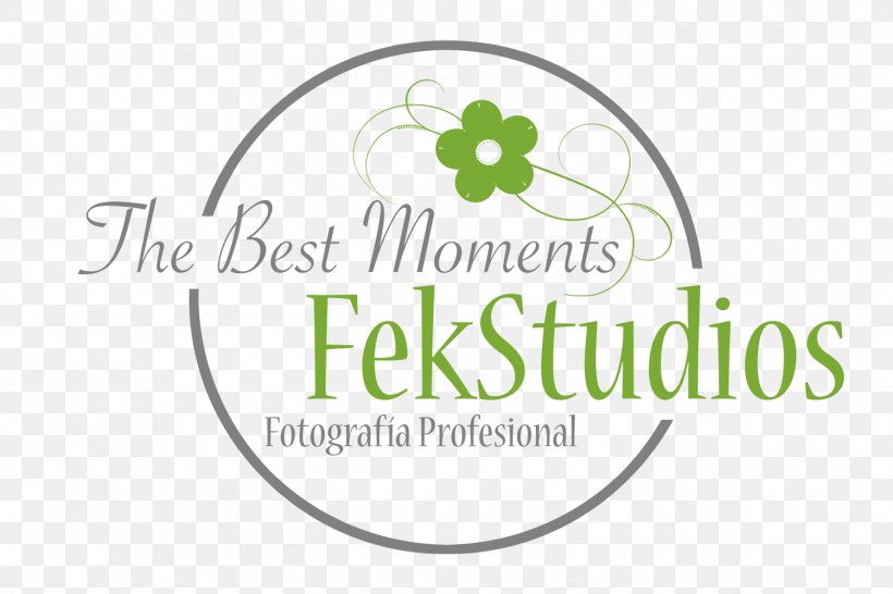 Fekstudios Birthday Logo Cake Infant, PNG, 1500x1000px, Birthday, Area, Brand, Cake, Erreportaje Download Free