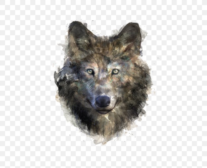 Gray Wolf T-shirt Black Wolf Drawing Illustration, PNG, 500x667px, Gray Wolf, African Wild Dog, Black Wolf, Carnivoran, Coyote Download Free