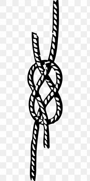 Knot Seizing Clip Art Image Vector Graphics PNG