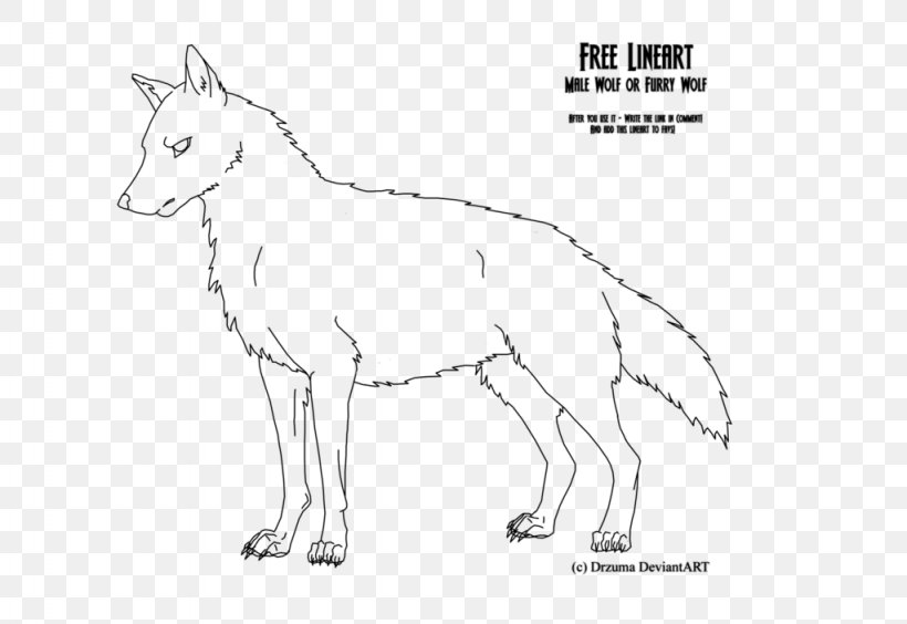 Line Art Furry Fandom Drawing Gray Wolf Cartoon, PNG, 1024x705px, Watercolor, Cartoon, Flower, Frame, Heart Download Free