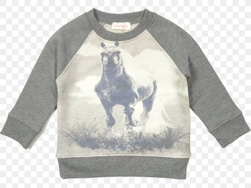 Long-sleeved T-shirt Long-sleeved T-shirt Sweater Bluza, PNG, 960x720px, Tshirt, Bluza, Brand, Clothing, Long Sleeved T Shirt Download Free