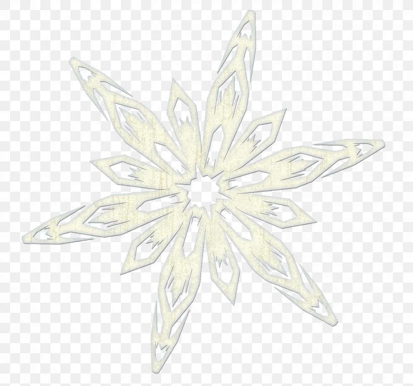 Symmetry White Flower Pattern, PNG, 1504x1404px, Symmetry, Flower, Pattern, White, Wing Download Free