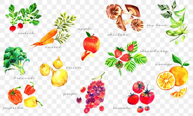 Vegetable Watercolor Painting Paper Vegetarian Cuisine, PNG, 2500x1500px, Vegetable, Colored Pencil, Diet Food, Flower, Food Download Free