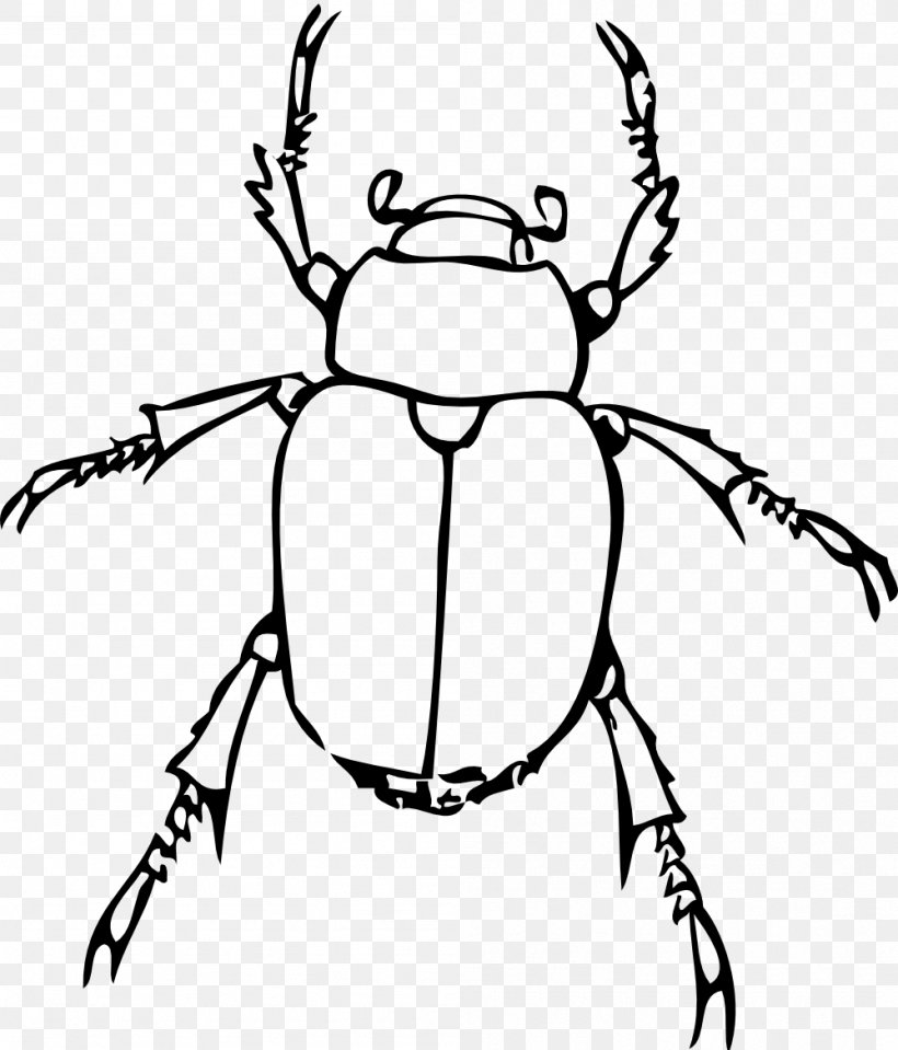 Insect Bug Drawing Book Clip Art, PNG, 999x1169px, Insect, Adult, Art, Artwork, Black And White Download Free