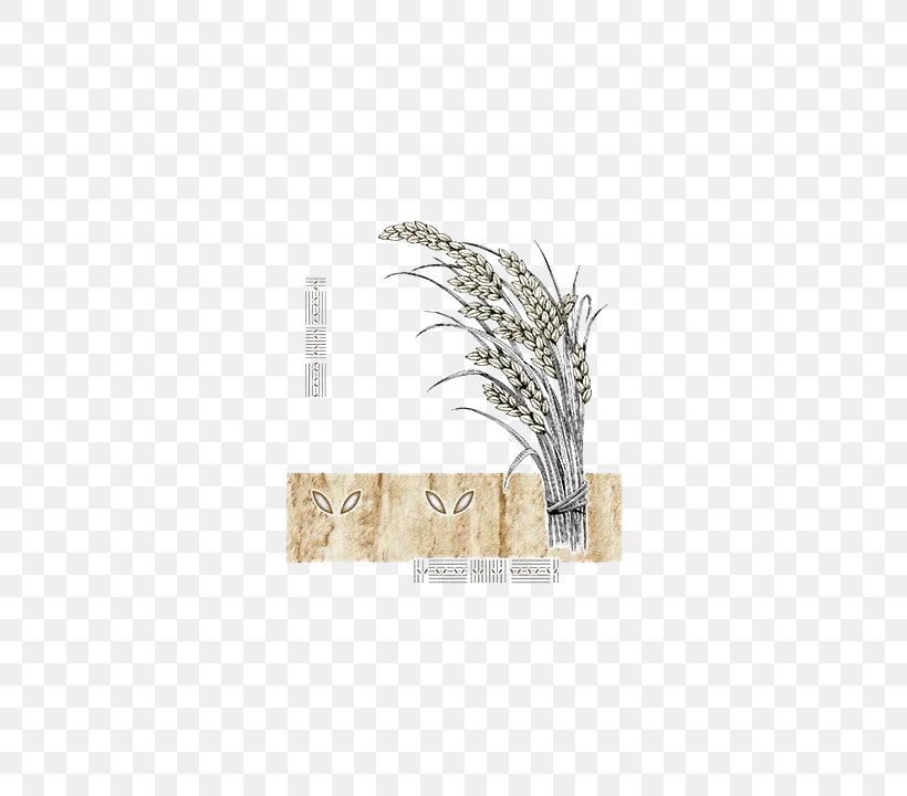 Rice Food Grain Icon, PNG, 480x720px, Rice, Cereal, Crop, Feather, Food Download Free