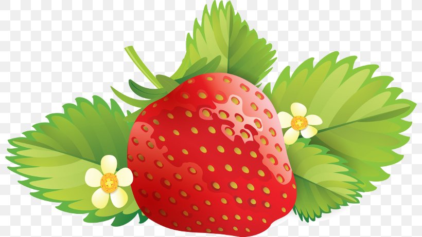 Strawberry Clip Art, PNG, 800x462px, Strawberry, Accessory Fruit, Art, Berry, Depositphotos Download Free