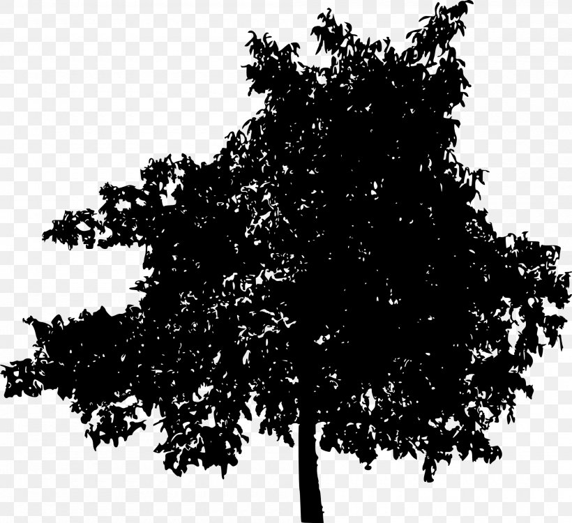 Tree Woody Plant Clip Art, PNG, 2000x1830px, Tree, Black And White, Branch, Drawing, Fruit Tree Download Free