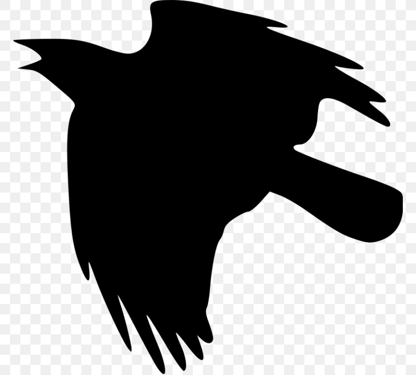 American Crow Clip Art, PNG, 768x740px, Crow, American Crow, Art, Beak, Bird Download Free