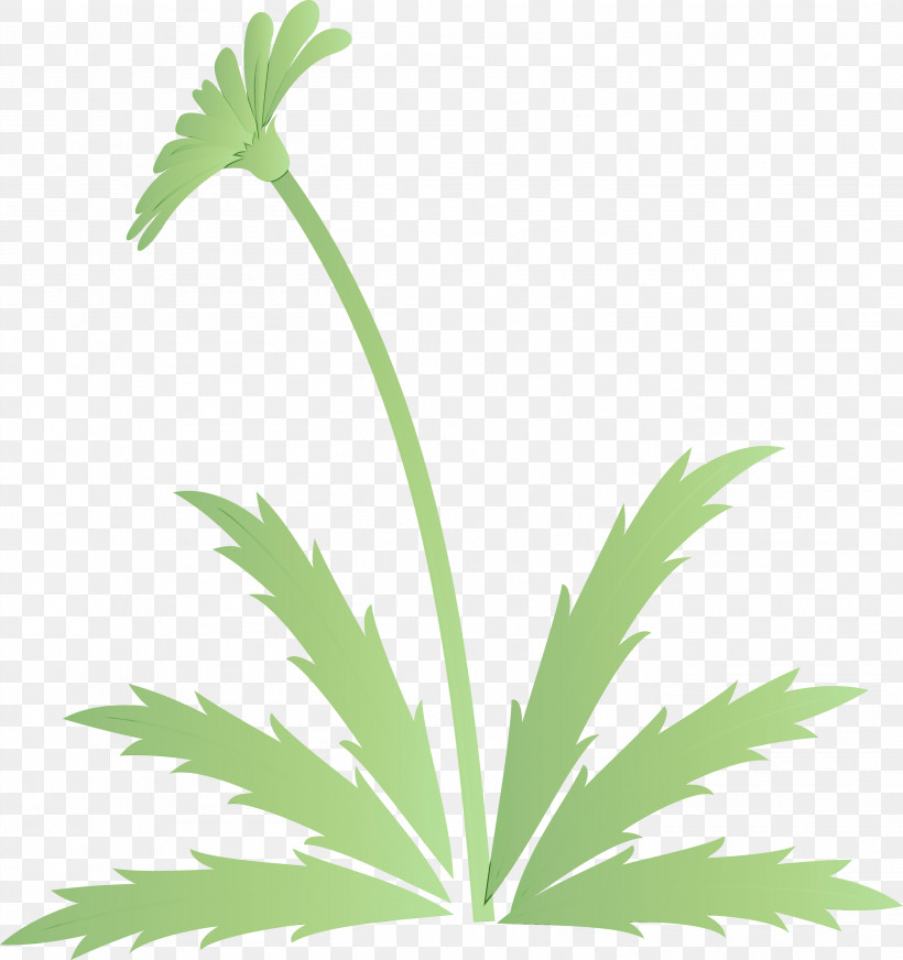 Leaf Plant Flower Plant Stem Terrestrial Plant, PNG, 2819x3000px, Dandelion Flower, Easter Day Flower, Flower, Grass, Hemp Download Free