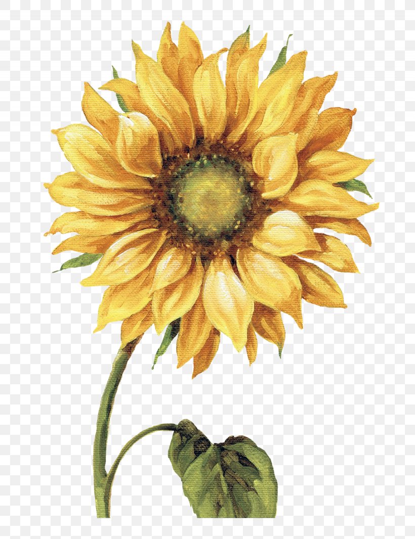 Work Of Art Drawing Common Sunflower Printmaking Painting, PNG, 1230x1600px, Work Of Art, Allposterscom, Annual Plant, Art, Artist Download Free