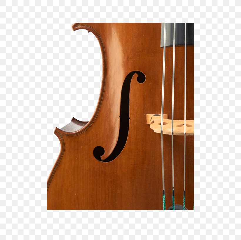 Bass Violin Double Bass Violone Viola Bass Guitar, PNG, 500x816px, Watercolor, Cartoon, Flower, Frame, Heart Download Free