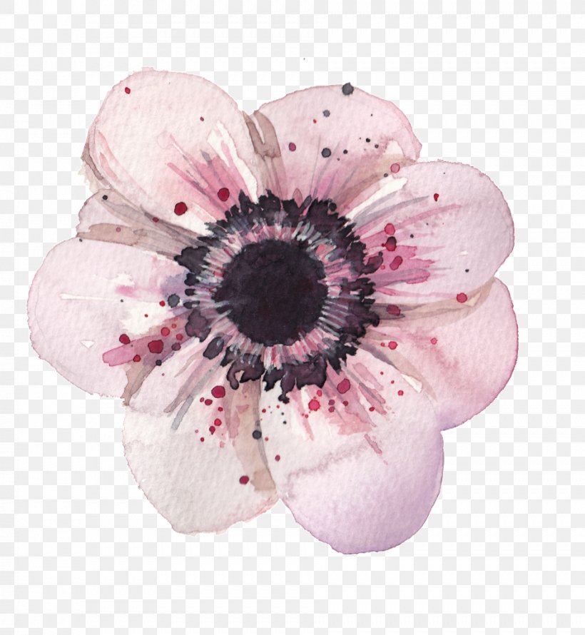 Flower Anemone Watercolor Painting Drawing, PNG, 943x1024px, Flower, Anemone, Blossom, Botanical Illustration, Botany Download Free