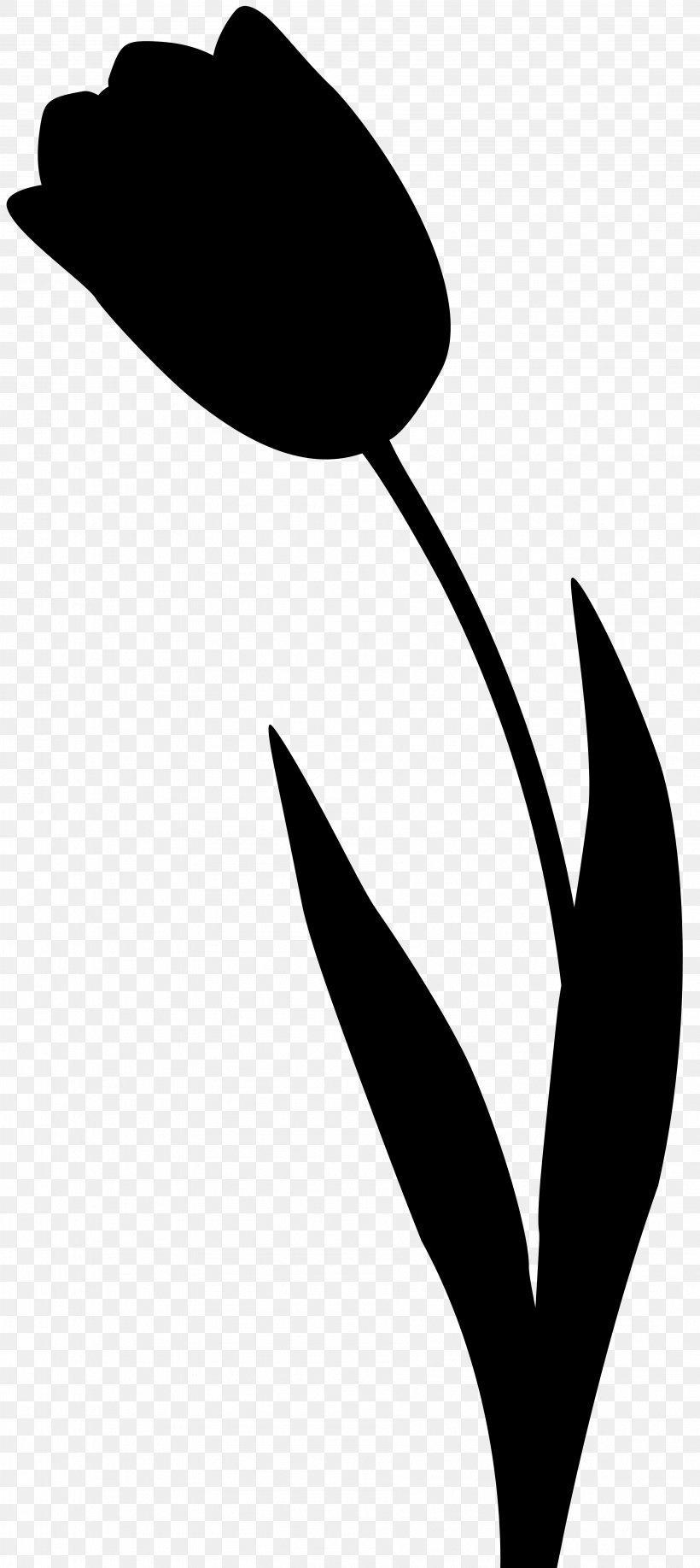 Clip Art Silhouette Line Art Leaf Plant Stem, PNG, 3574x8000px ...