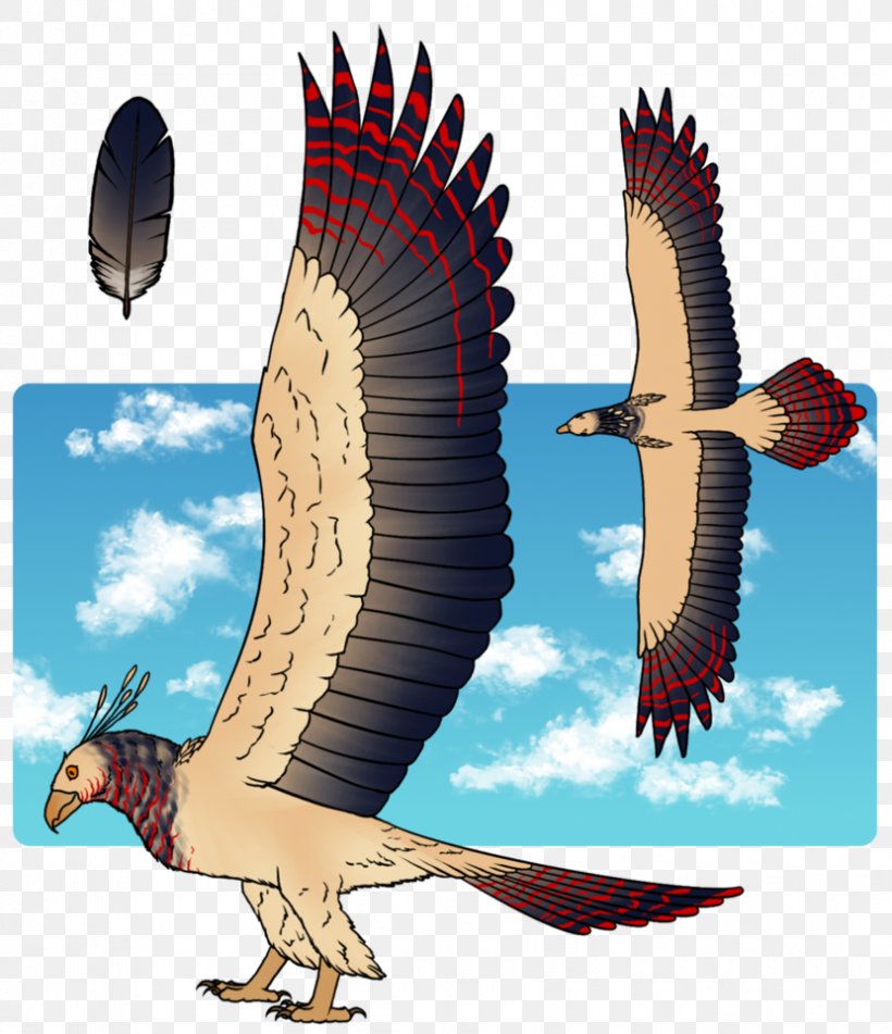 Eagle Buzzard Vulture Hawk Beak, PNG, 830x963px, Eagle, Accipitriformes, Beak, Bird, Bird Of Prey Download Free