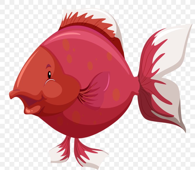 Fish Anatomy Clip Art, PNG, 800x714px, Fish, Aquatic Animal, Beak, Bird, Chicken Download Free