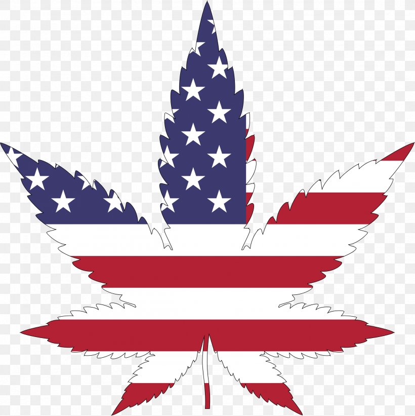 Flag Of The United States Cannabis Hemp Legalization, PNG, 2324x2328px, United States, Cannabis, Drug, Flag, Flag Of The United States Download Free