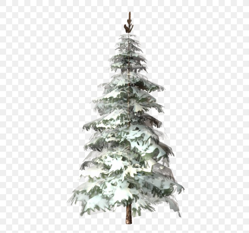 Christmas Tree Fir Spruce Christmas Day Pine, PNG, 465x768px, 5 December, 2015, Christmas Tree, Christmas, Christmas Day Download Free