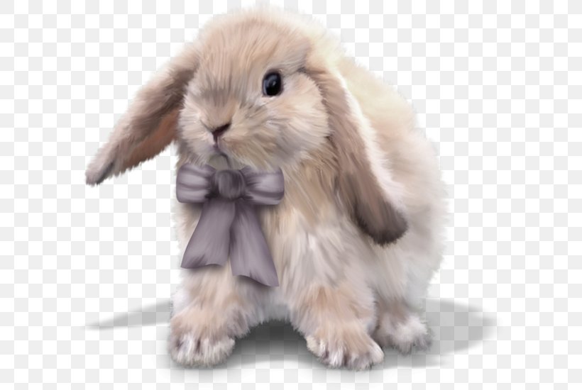 Domestic Rabbit Easter Bunny European Rabbit Leporids, PNG, 600x550px, Domestic Rabbit, Animal, Drawing, Dwarf Rabbit, Easter Download Free
