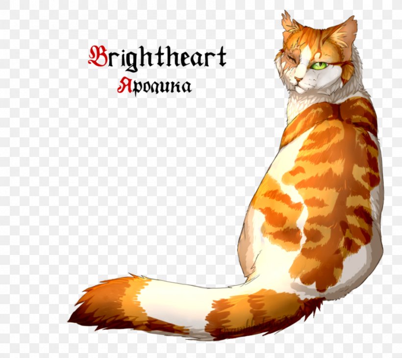 Cat Whiskers Warriors Drawing Image, PNG, 947x844px, Cat, American Wirehair, Brightheart, Carnivore, Claw Download Free