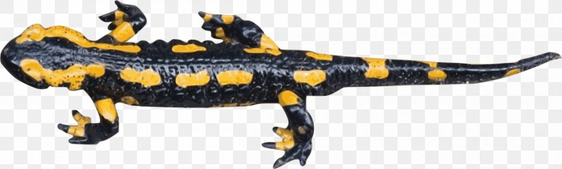 Fire Salamander Newt Openclipart Clip Art, PNG, 2400x723px, Salamander, Amphibian, Angela Merkel, Animal, Animal Figure Download Free