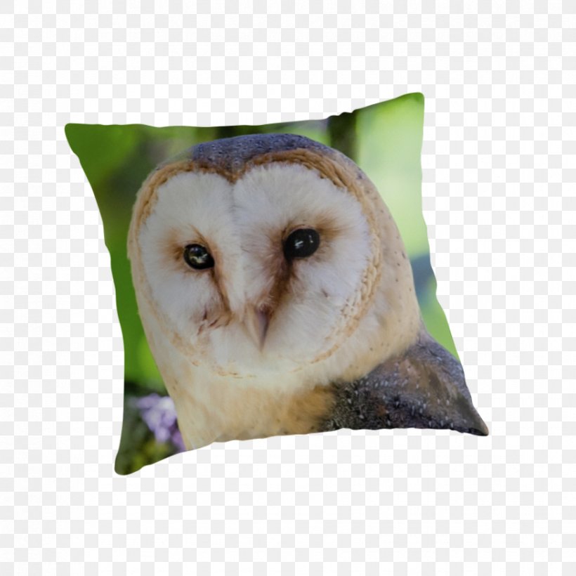 Owl Throw Pillows Cushion Beak, PNG, 875x875px, Owl, Beak, Bird, Bird Of Prey, Cushion Download Free