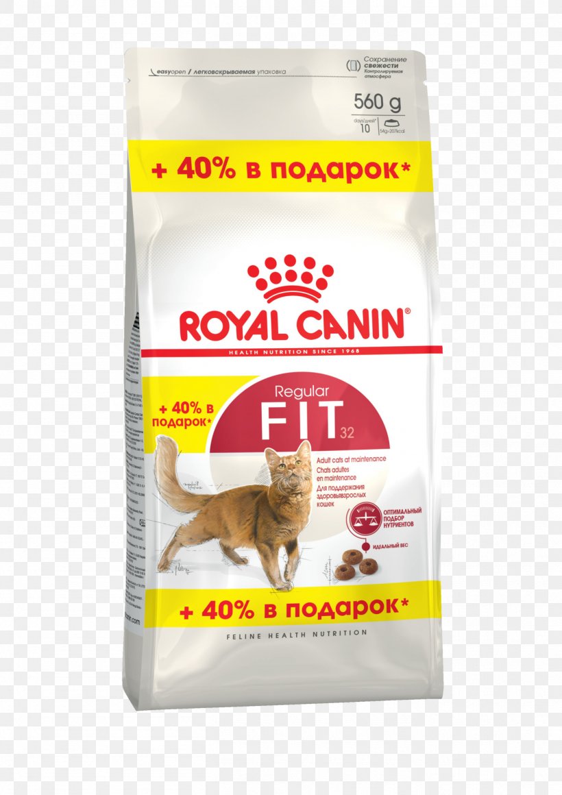 Cat Food Dog Persian Cat Kitten Puppy, PNG, 1357x1920px, Cat Food, Cat, Dog, Dog Food, Flavor Download Free